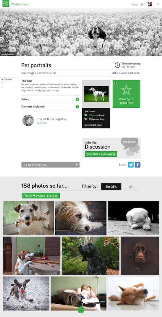 An example of a PhotoCrowd contest page