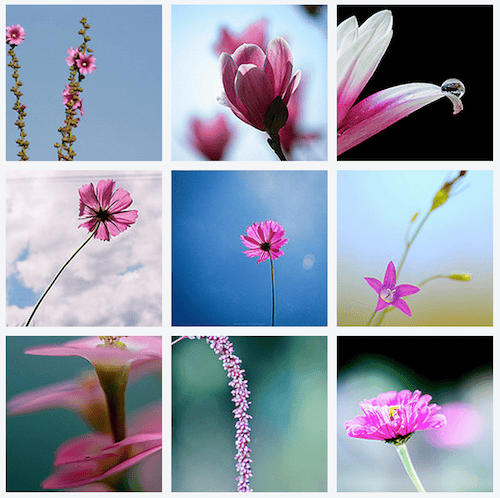 Example of FlickrTab extension -- showing a beautiful photo each time a new tab opens