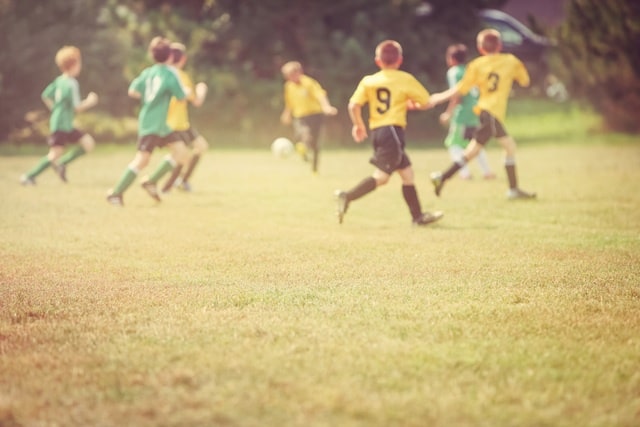 shutterstock_1895743222