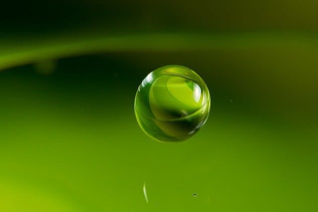 The war of the embeds