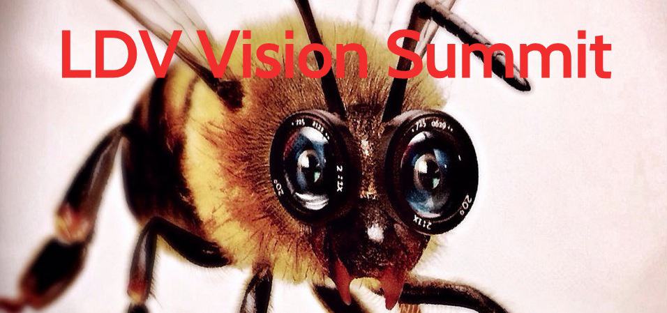 LDV vision summit