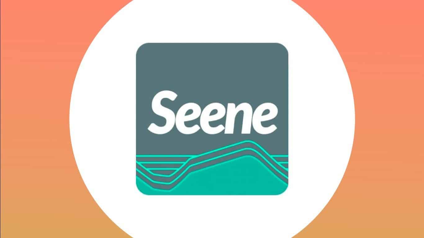 Seene Logo