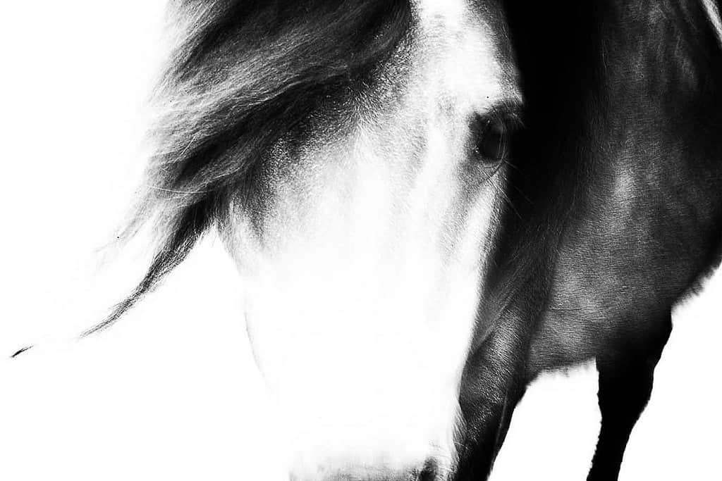 photo by Gisella Klein