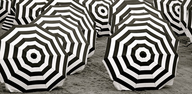 Photo by Pierre Mallien