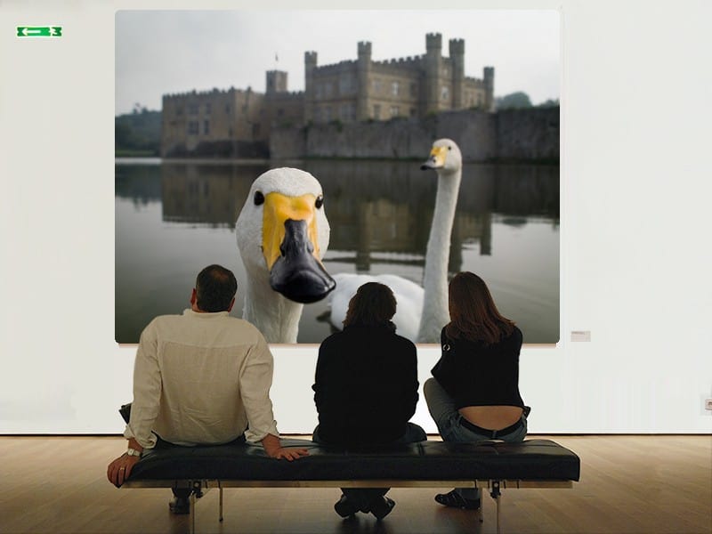 Photo by https://www.flickr.com/photos/simpologist/