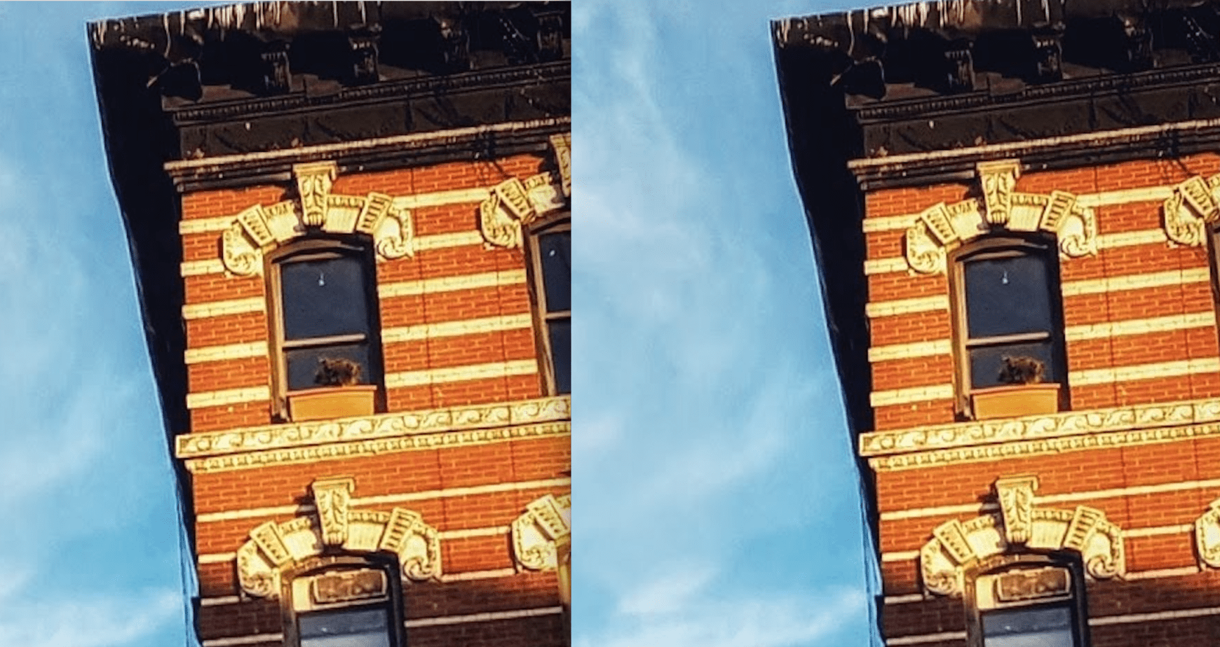 Imatag invisible watermark does not alter the image files, even a very high close ups