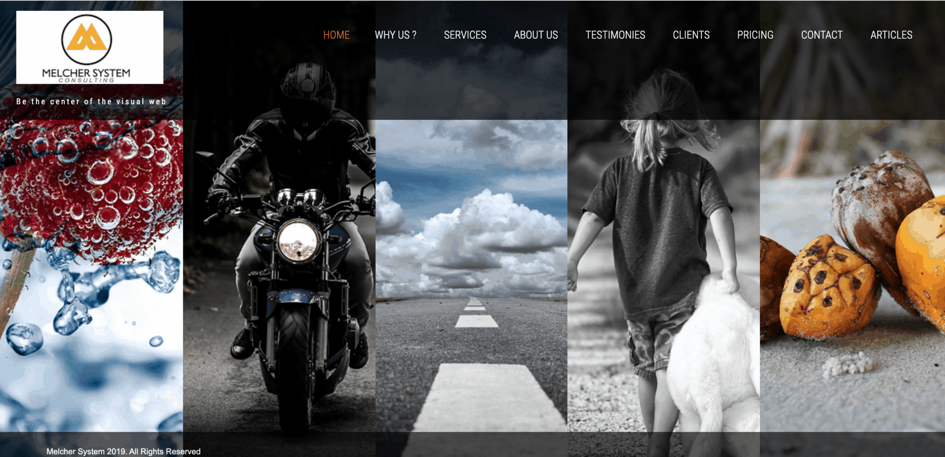 MelcherSystem Consulting home page