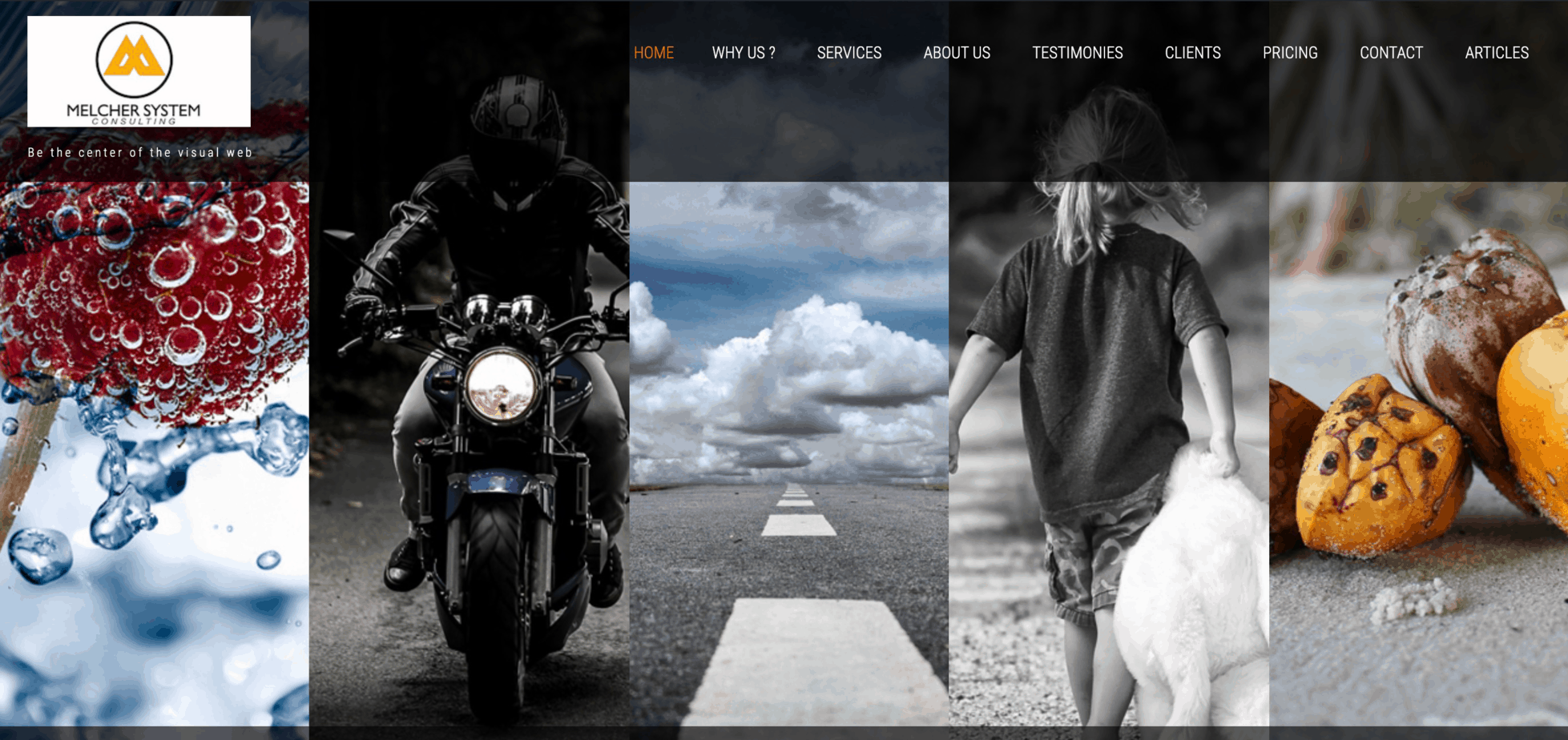 Melchersystem home page