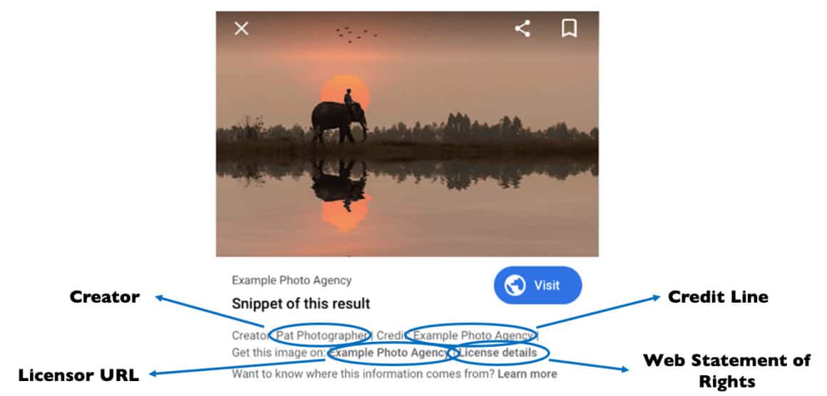 The license badge from Google Image search