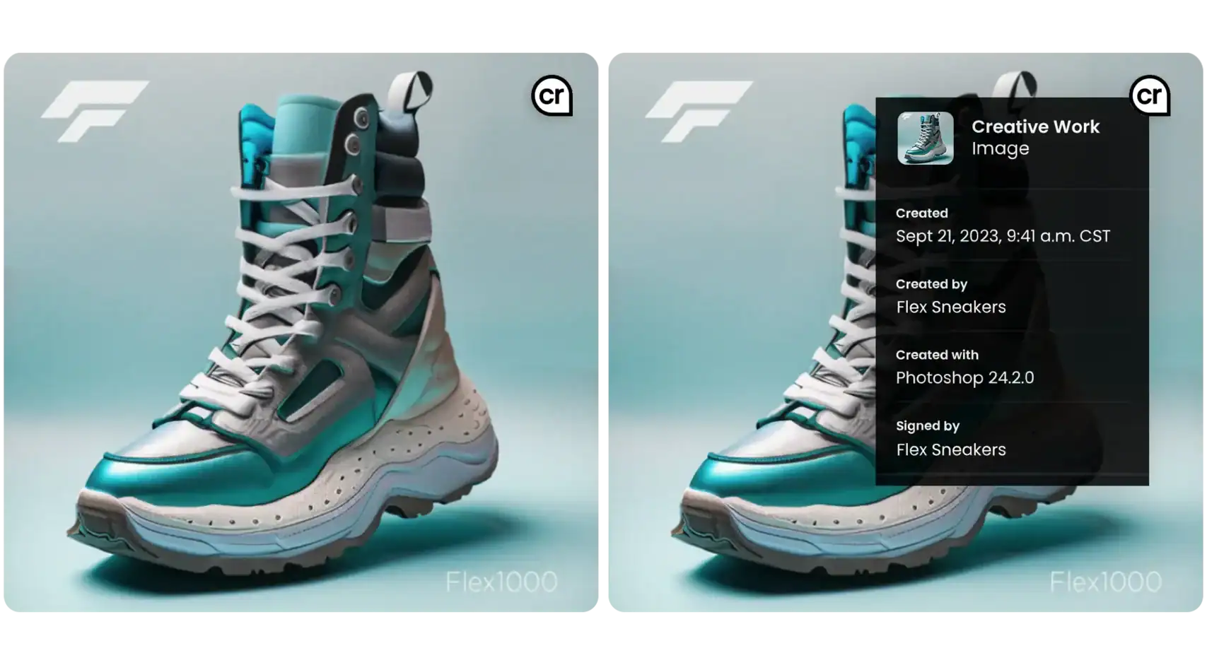 Secure your brand with advanced image authenticity tools for counterfeit prevention.