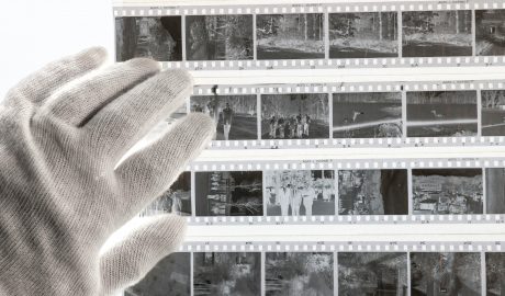 Person examining photographic negatives for provenance verification.