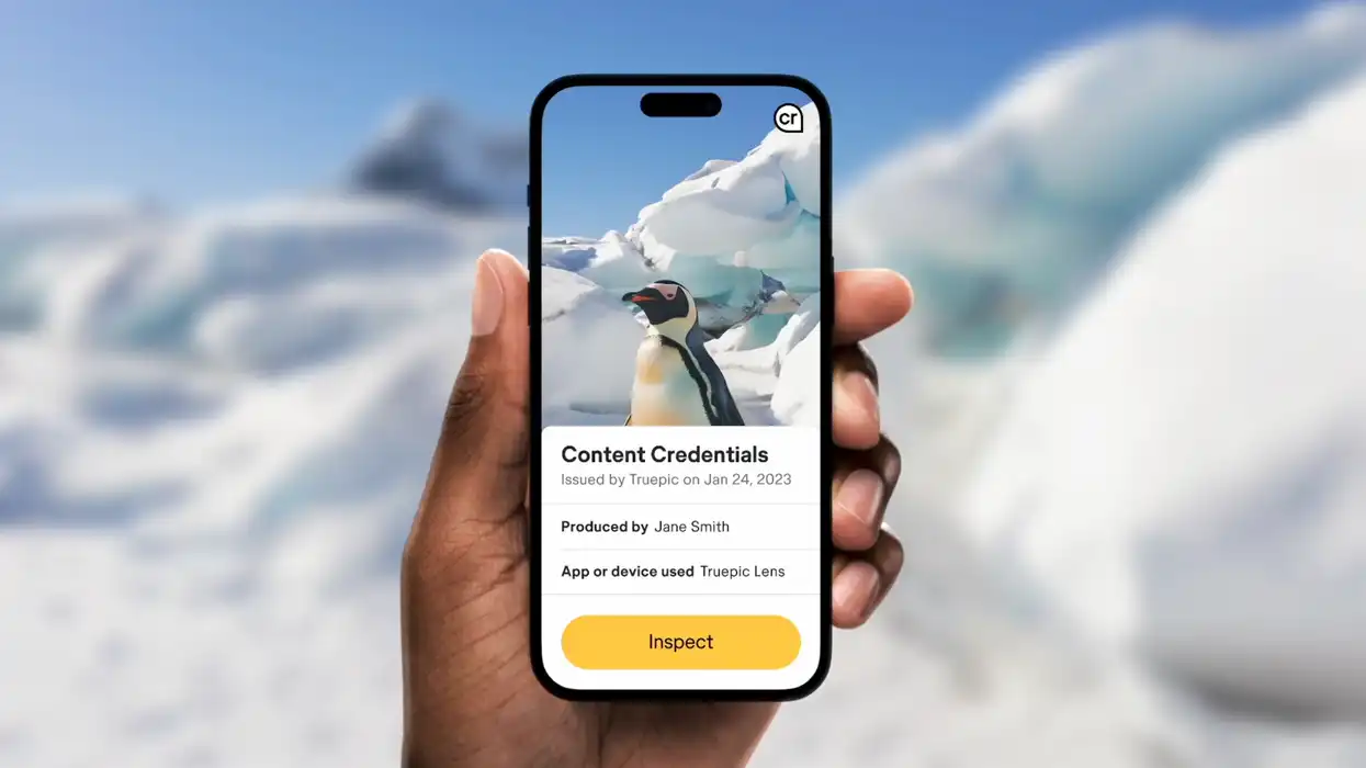 IPhone displaying Content Credentials verification screen with penguin image.